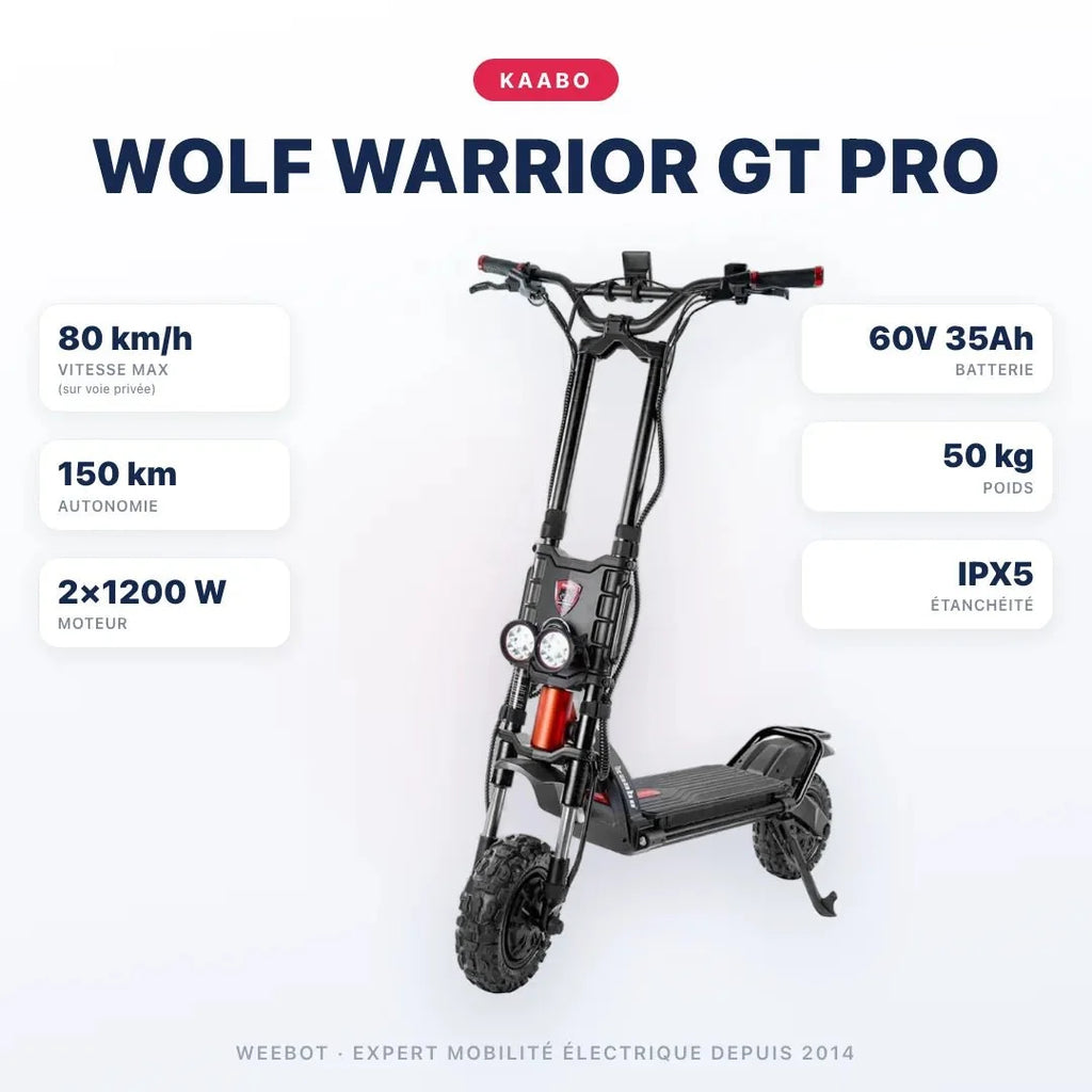 Trottinette Électrique Kaabo Wolf Warrior GT Pro