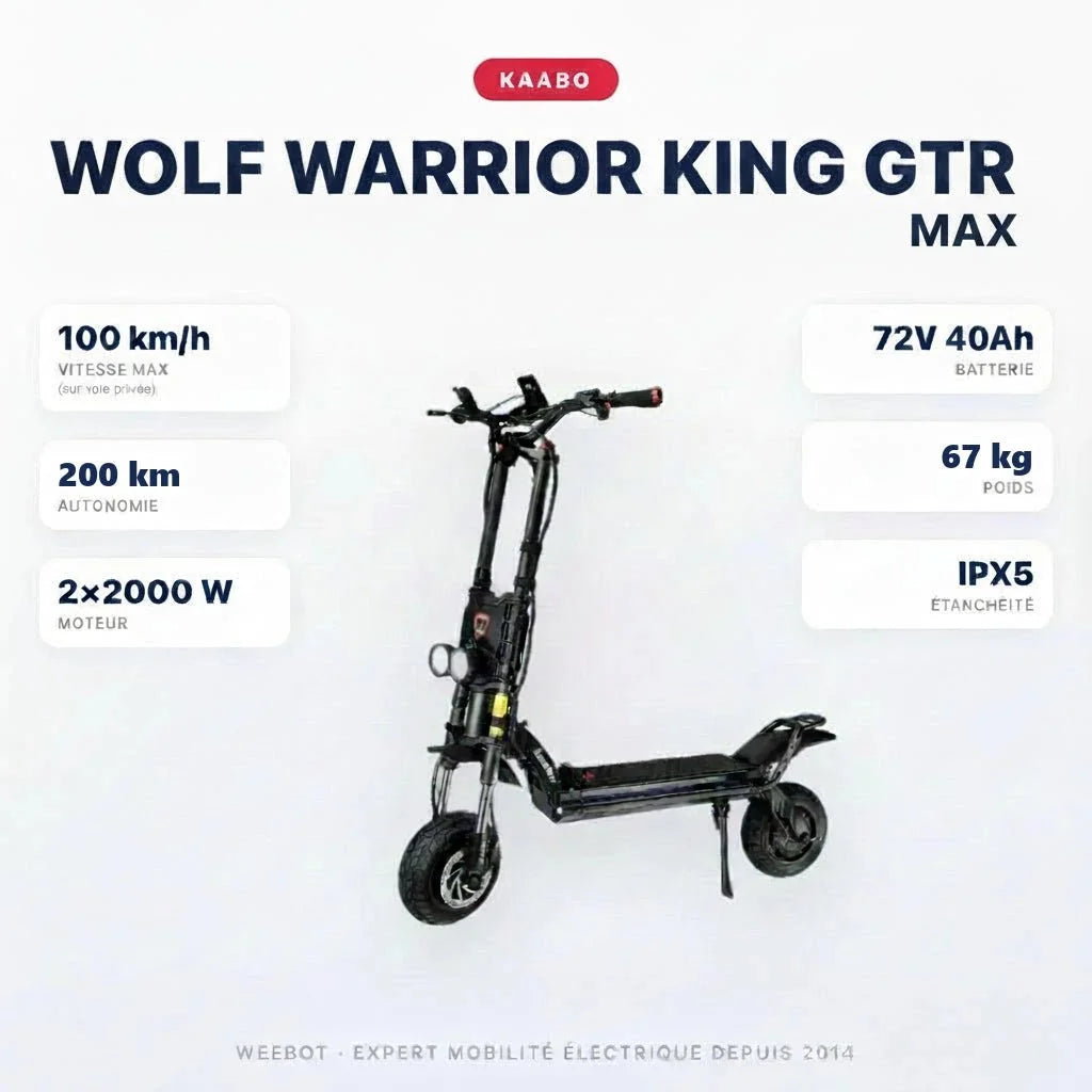 Trottinette Électrique Wolf Warrior King GTR MAX Kaabo