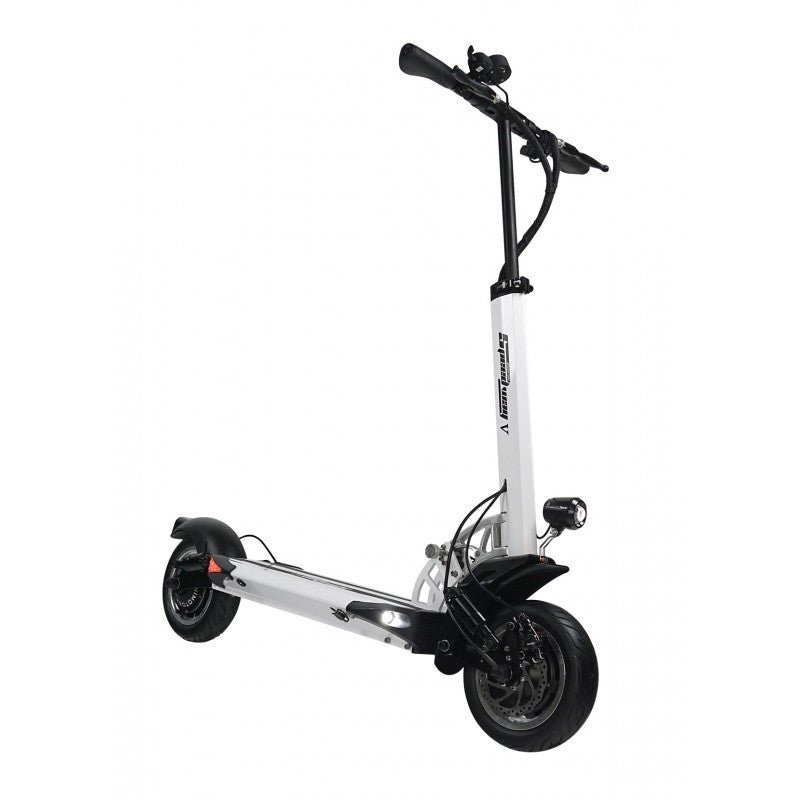 Trottinette Électrique Speedway 5